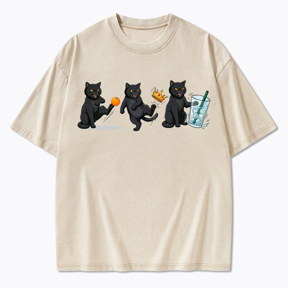 NOPE No Kings Cat Washed T-Shirt