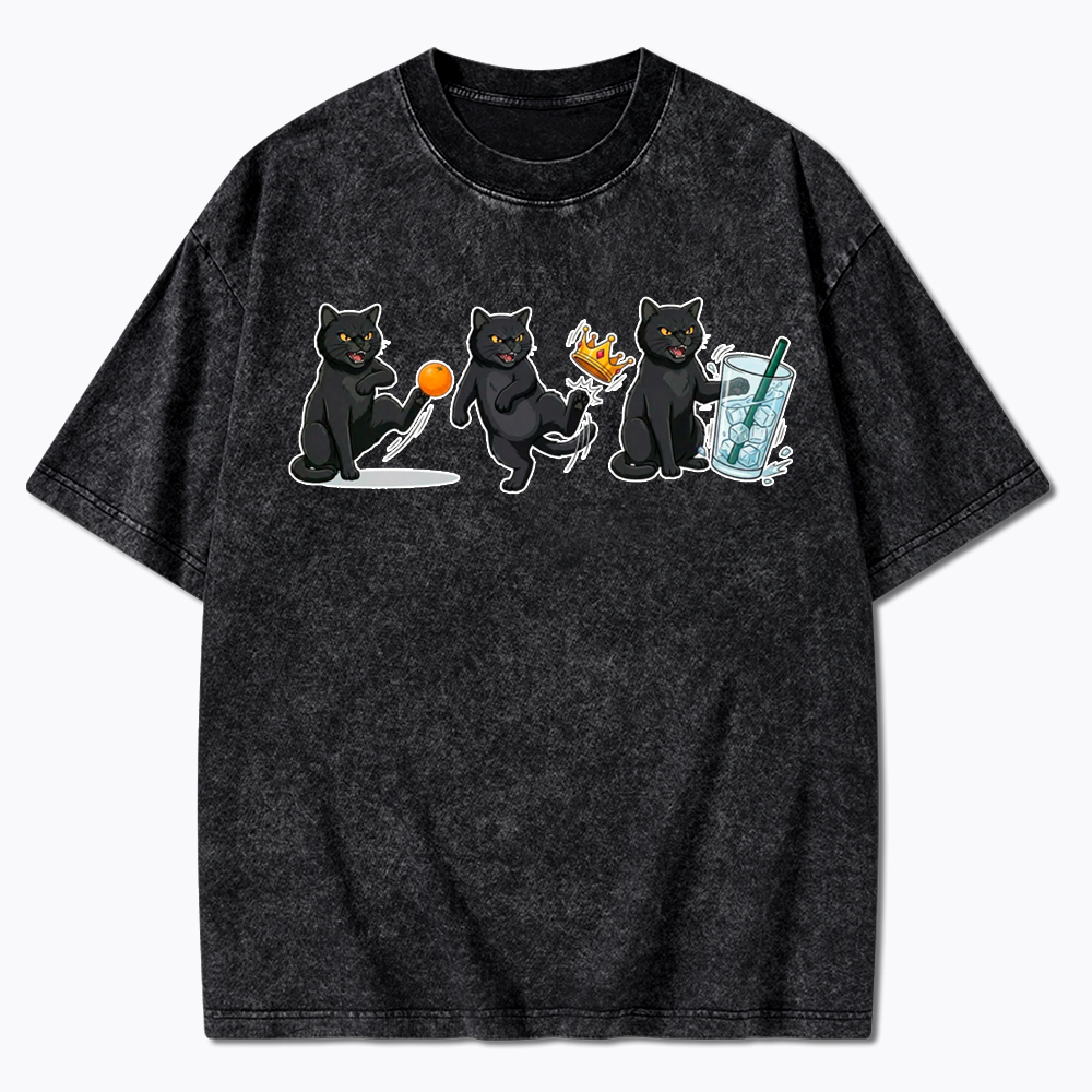 NOPE No Kings Cat Washed T-Shirt