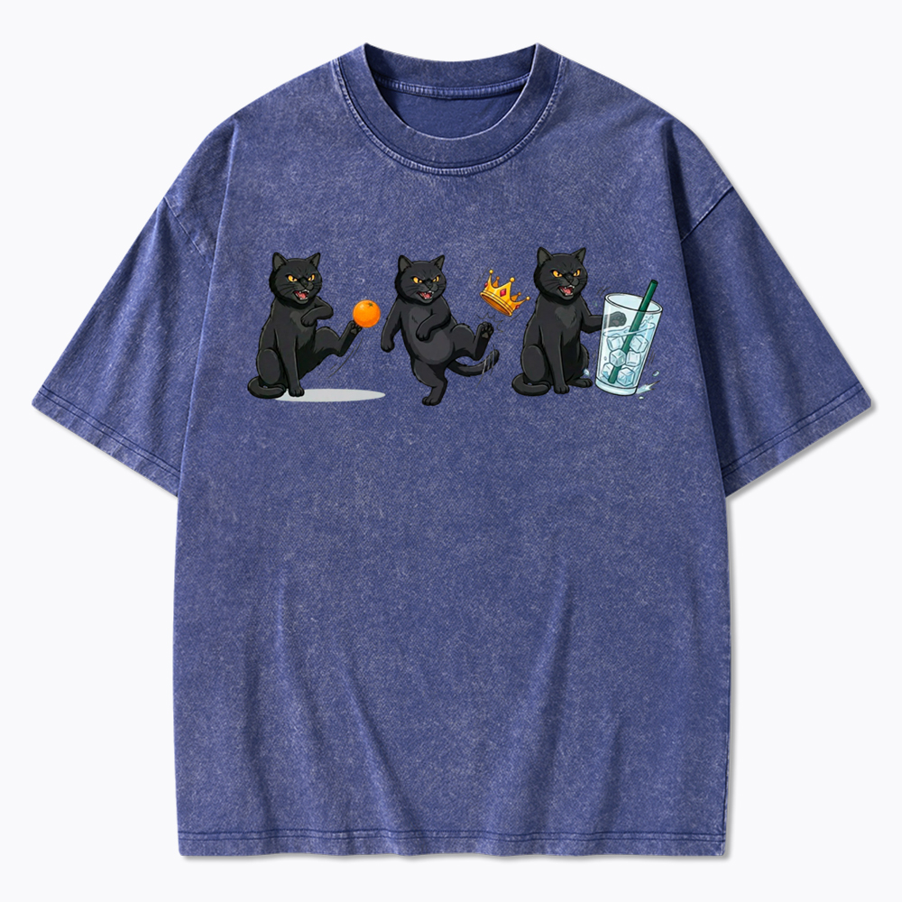 NOPE No Kings Cat Washed T-Shirt