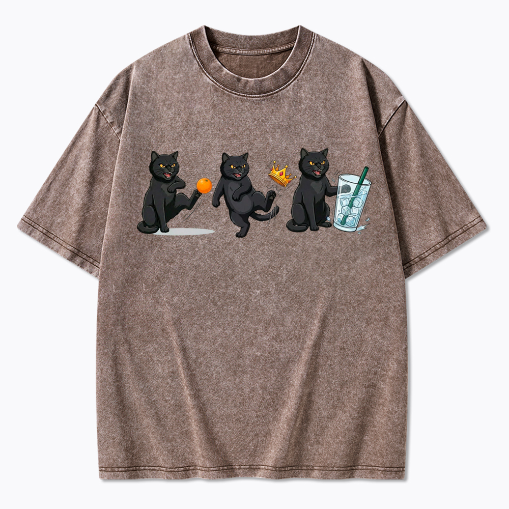 NOPE No Kings Cat Washed T-Shirt