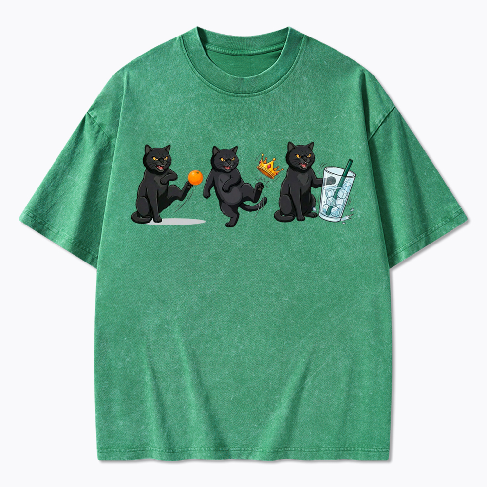 NOPE No Kings Cat Washed T-Shirt