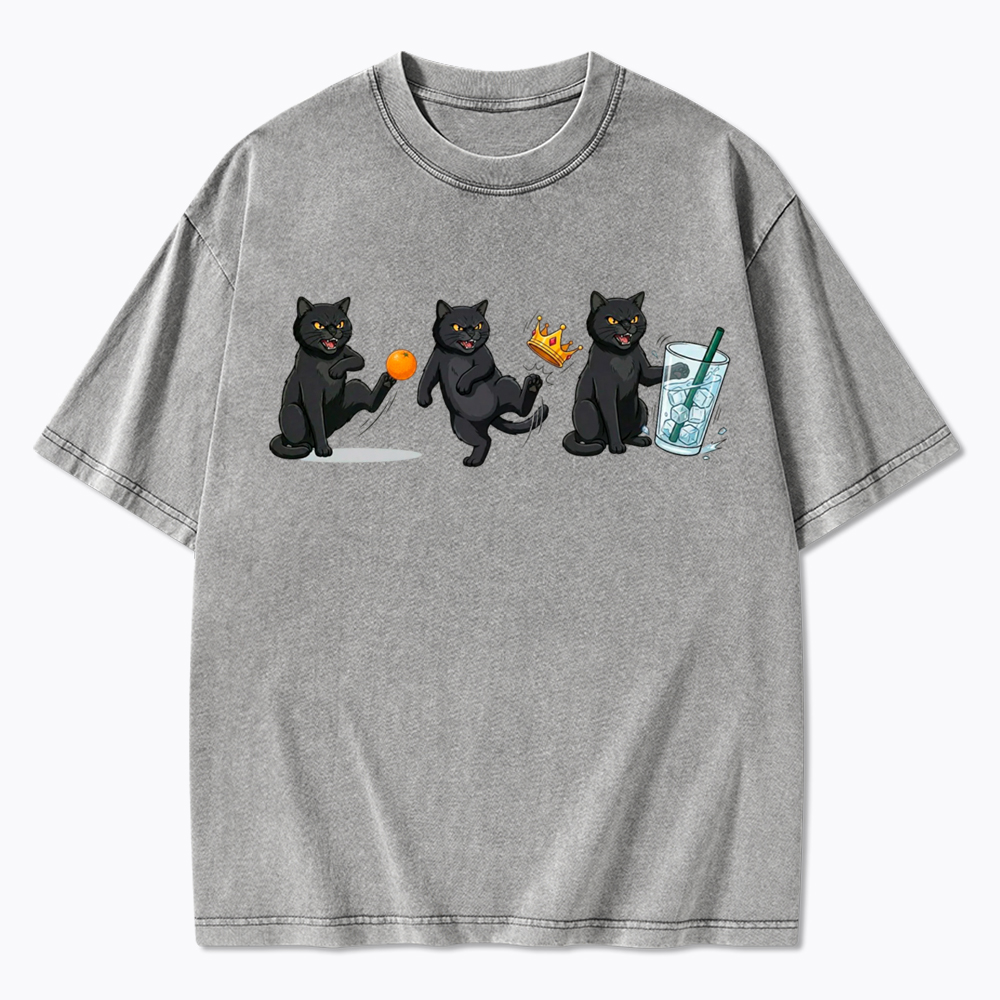 NOPE No Kings Cat Washed T-Shirt
