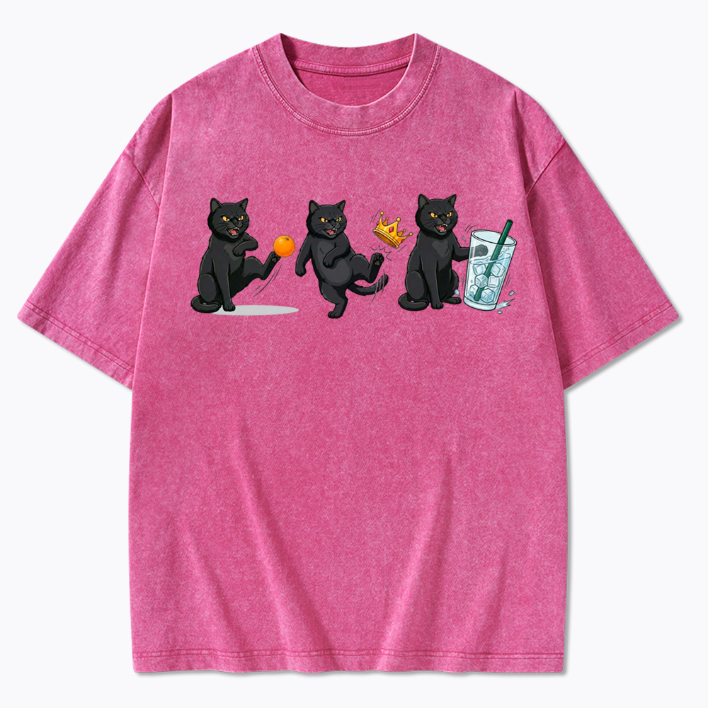 NOPE No Kings Cat Washed T-Shirt