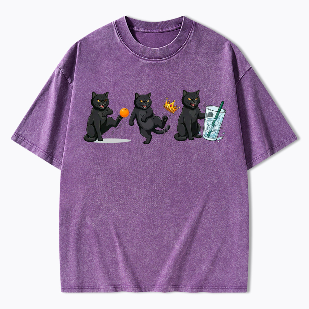 NOPE No Kings Cat Washed T-Shirt