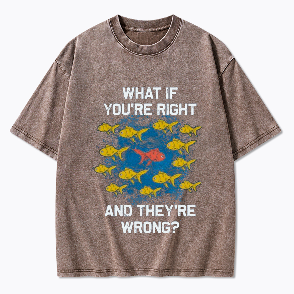 What If You're Right They're Wrong Washed T-Shirt