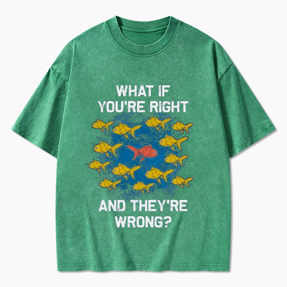 What If You're Right They're Wrong Washed T-Shirt
