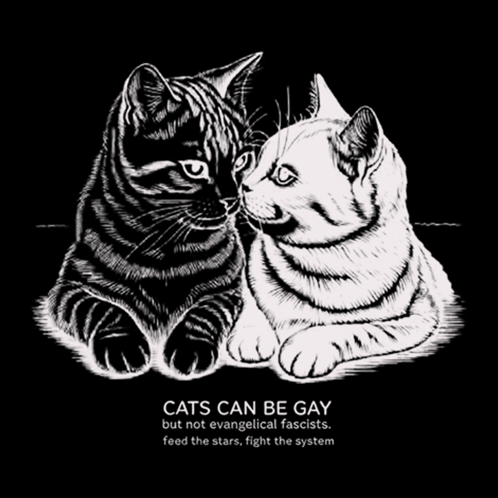 Cat Can Be Gay Washed T-Shirt