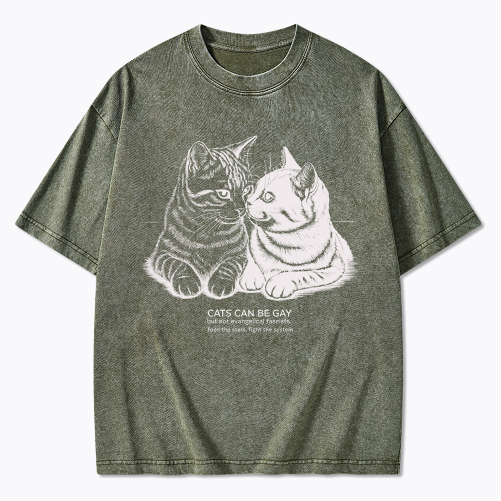Cat Can Be Gay Washed T-Shirt