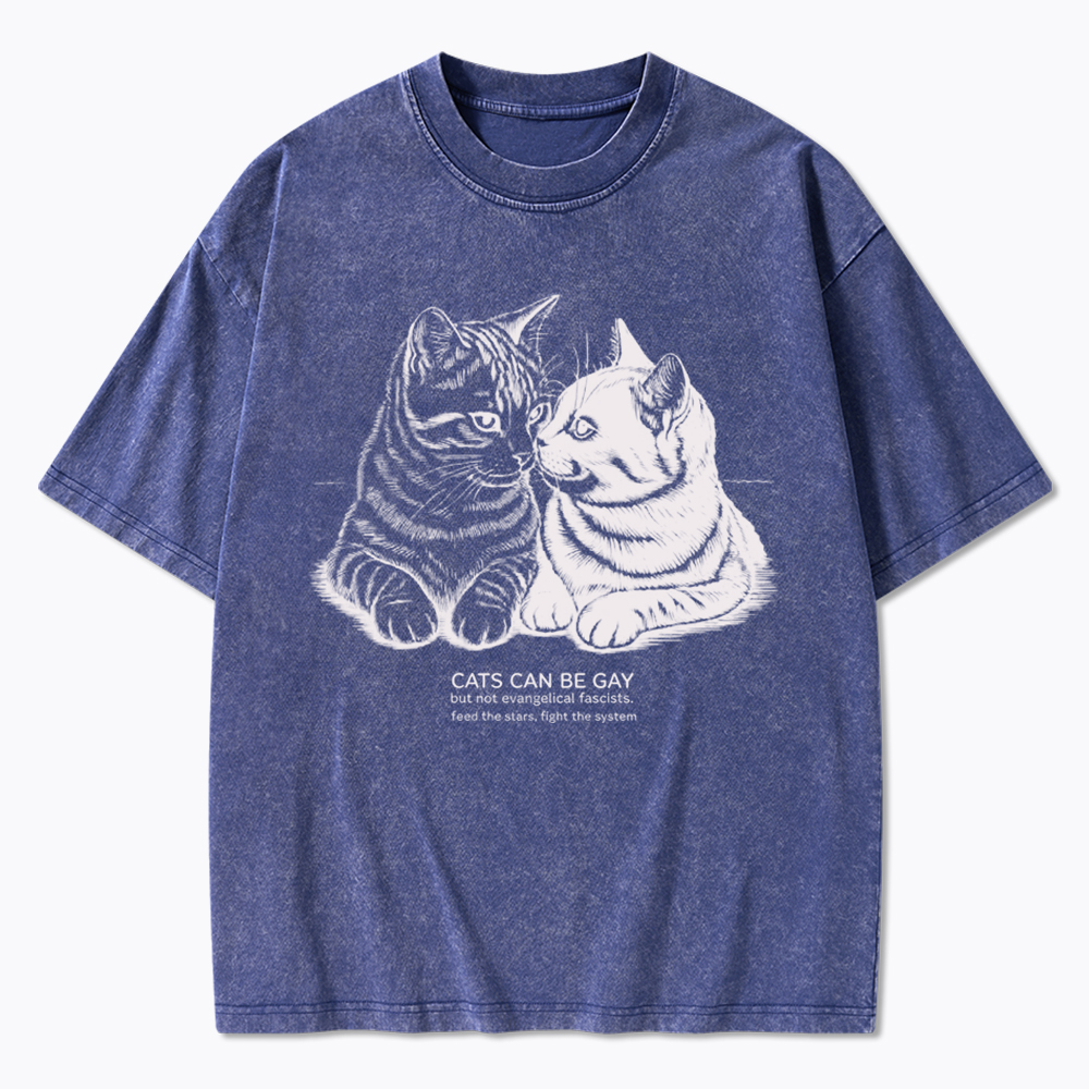 Cat Can Be Gay Washed T-Shirt