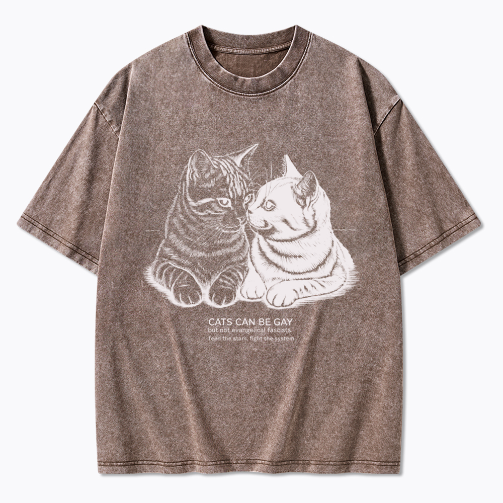 Cat Can Be Gay Washed T-Shirt