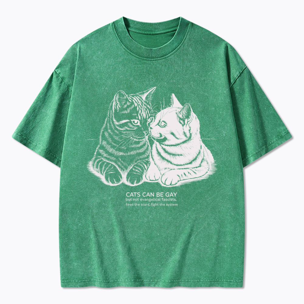 Cat Can Be Gay Washed T-Shirt