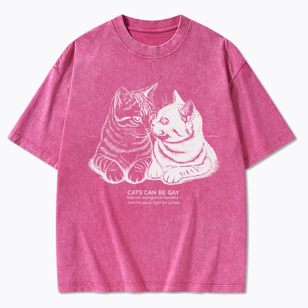 Cat Can Be Gay Washed T-Shirt