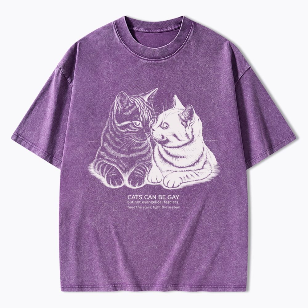 Cat Can Be Gay Washed T-Shirt