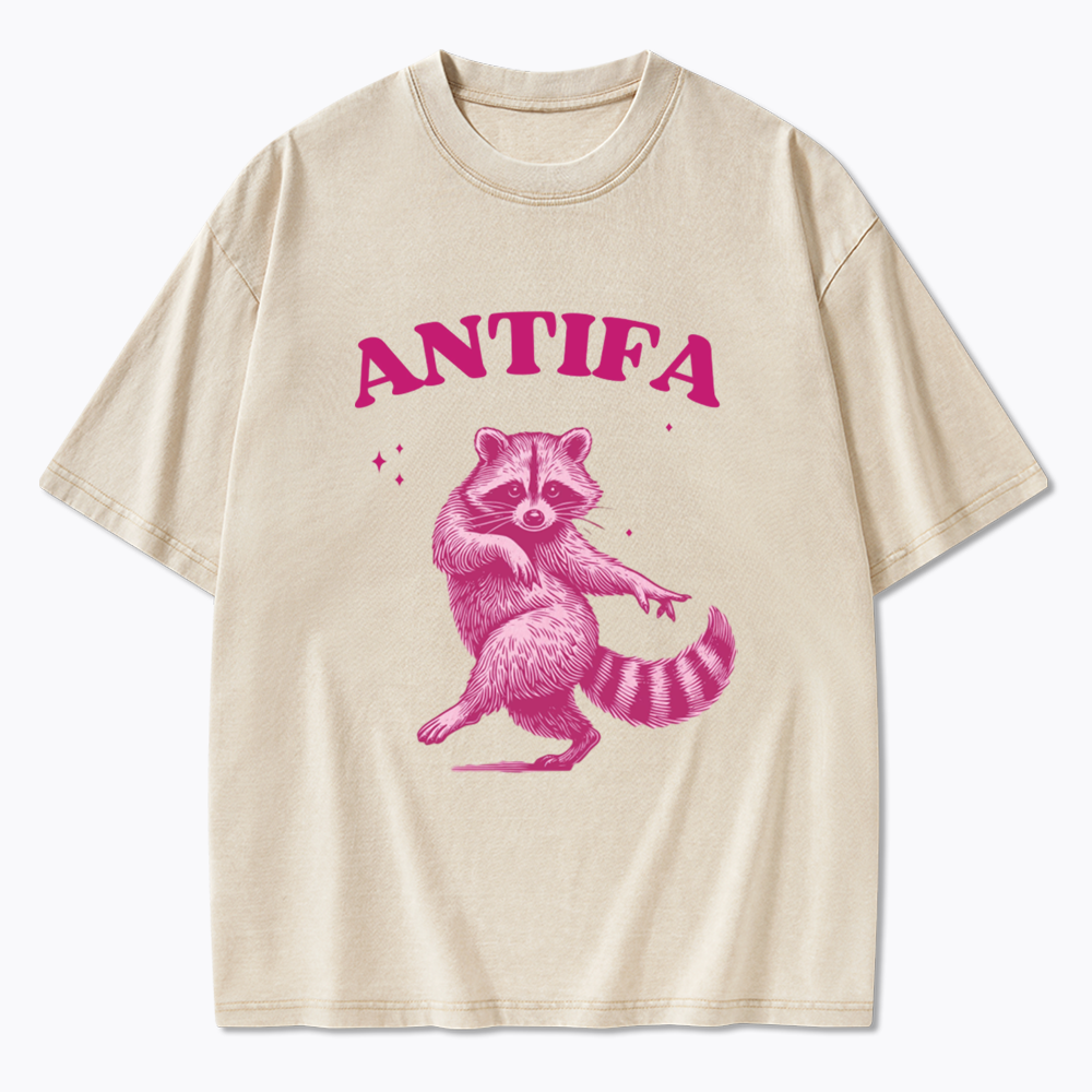 Raccoon Meme Washed T-Shirt