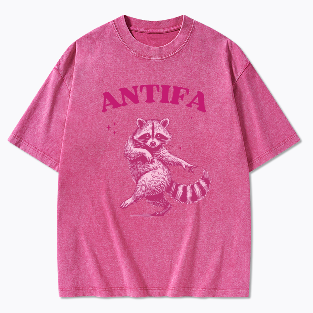 Raccoon Meme Washed T-Shirt