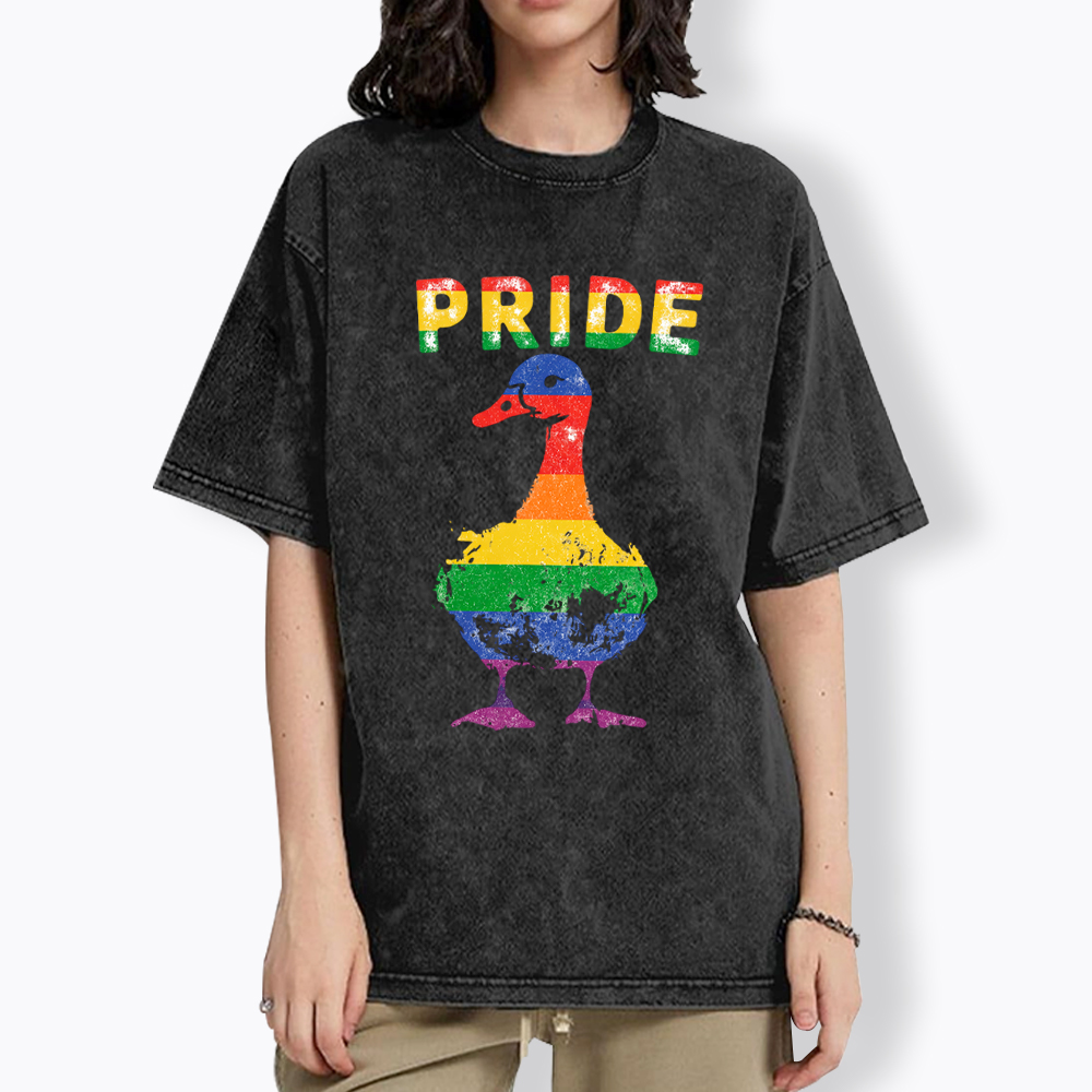 Pride Goose Washed T-Shirt