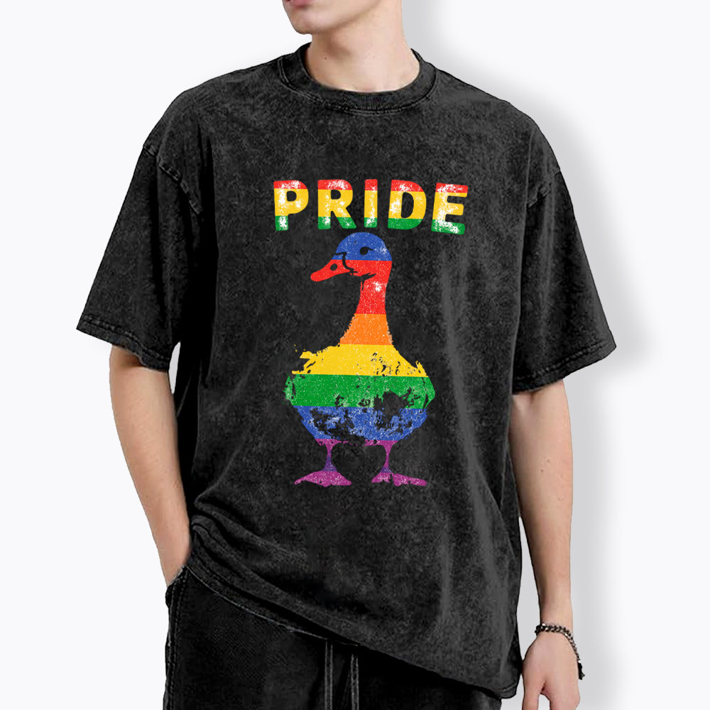 Pride Goose Washed T-Shirt