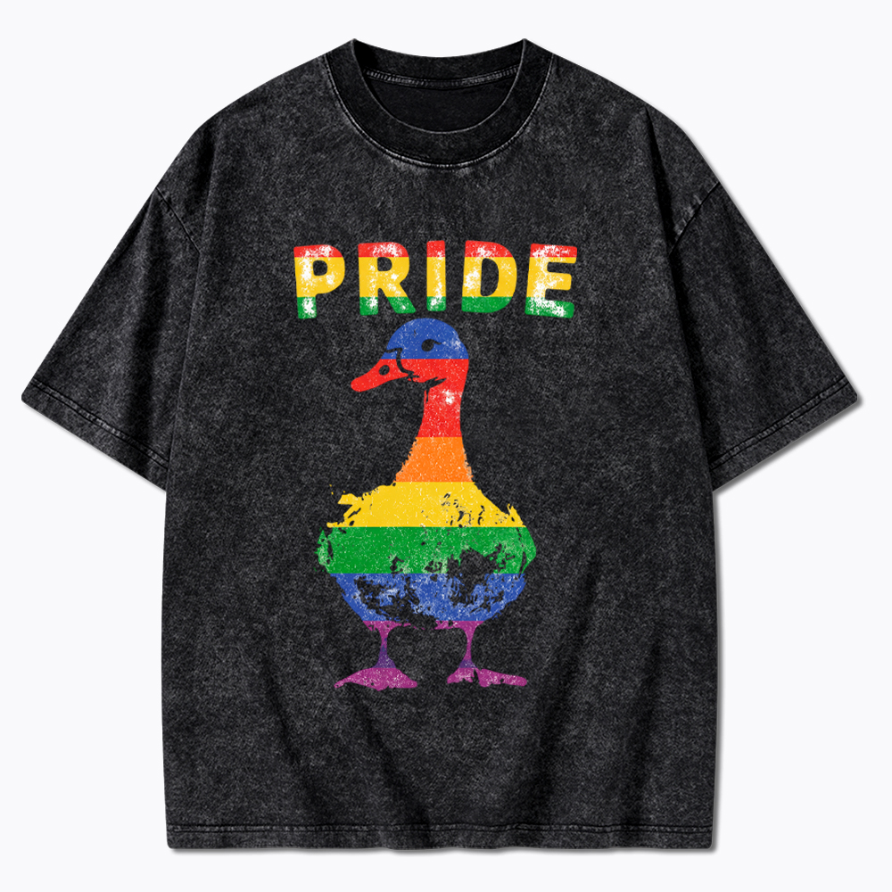 Pride Goose Washed T-Shirt