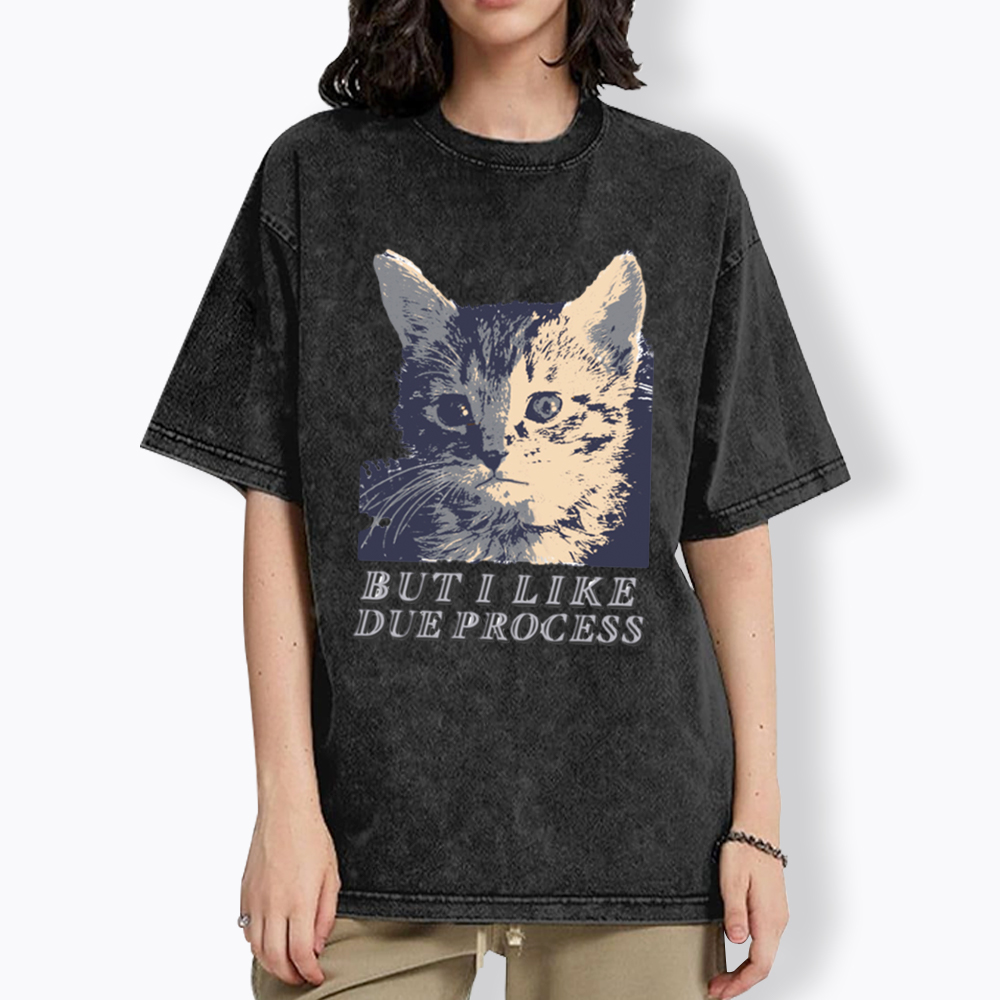But I Like Due Process cat Washed T-Shirt