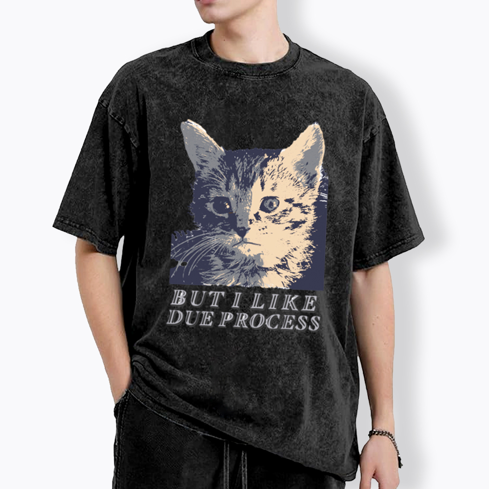But I Like Due Process cat Washed T-Shirt