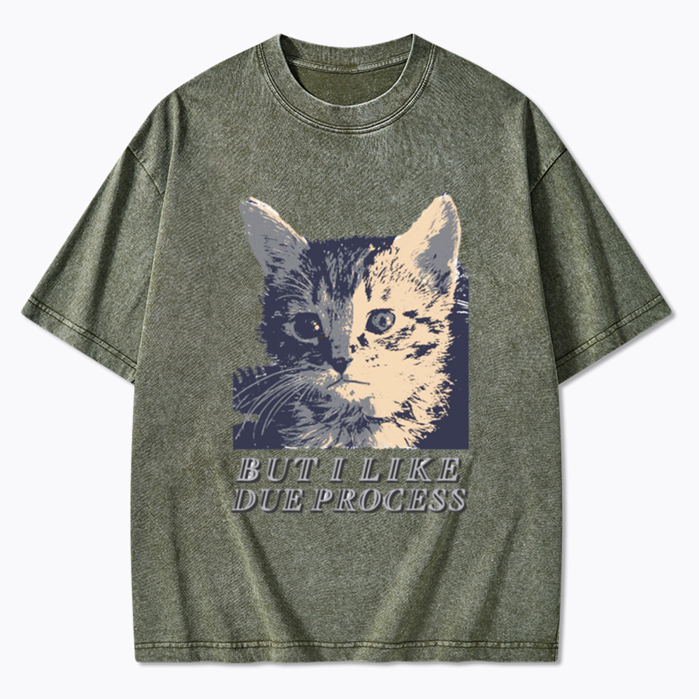 But I Like Due Process cat Washed T-Shirt