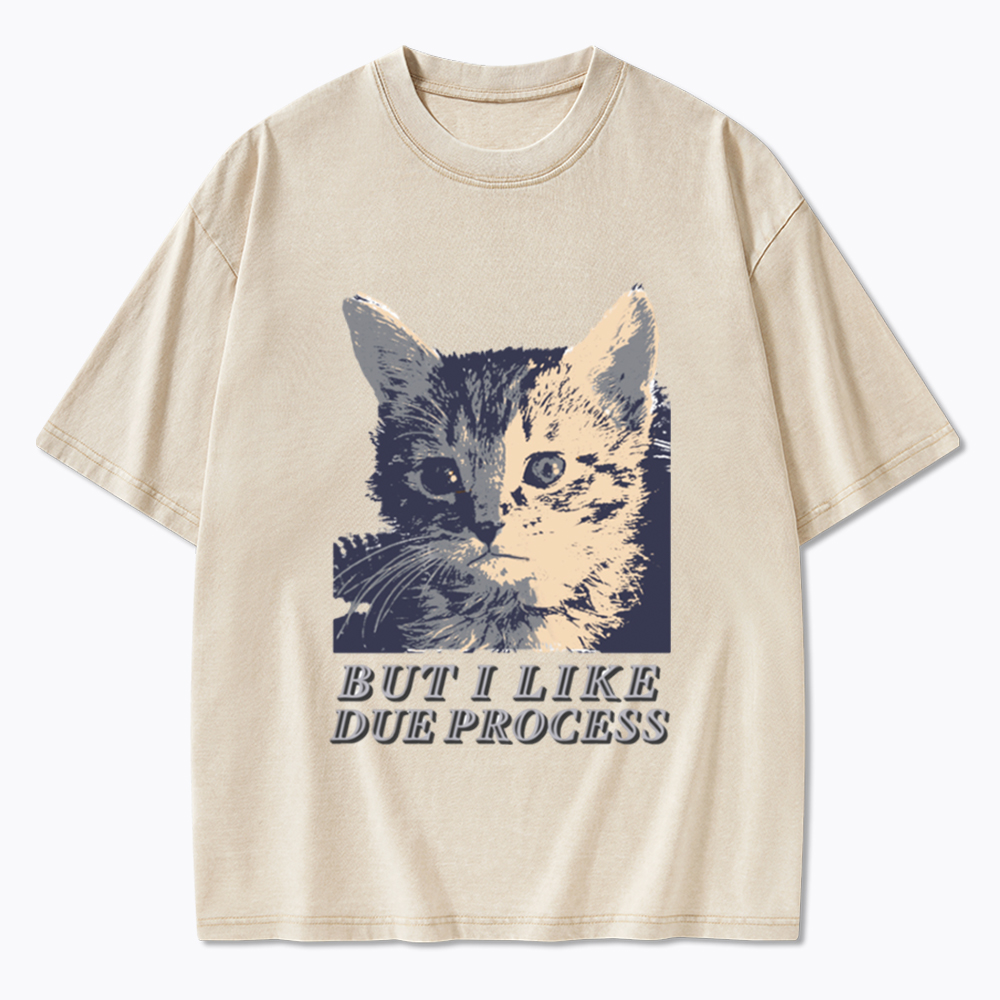 But I Like Due Process cat Washed T-Shirt