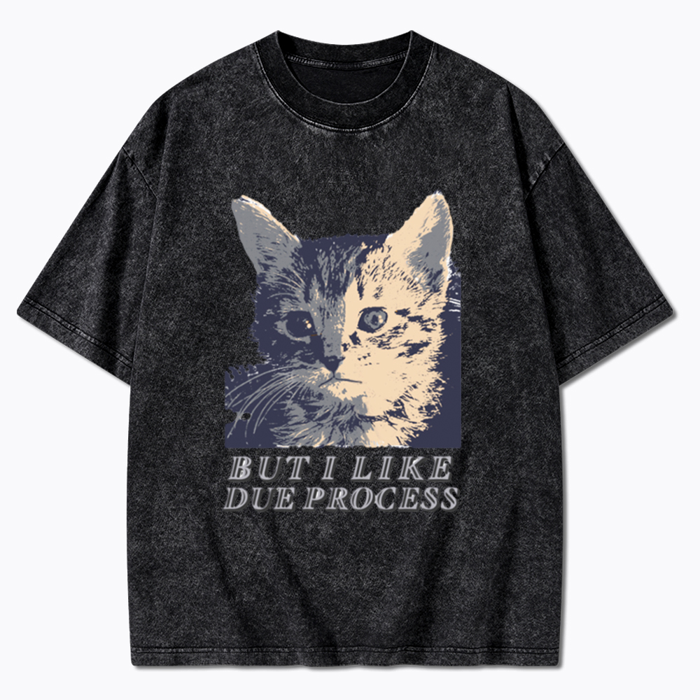 But I Like Due Process cat Washed T-Shirt