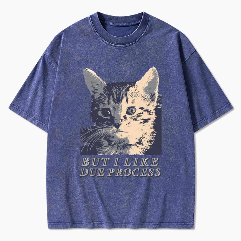 But I Like Due Process cat Washed T-Shirt