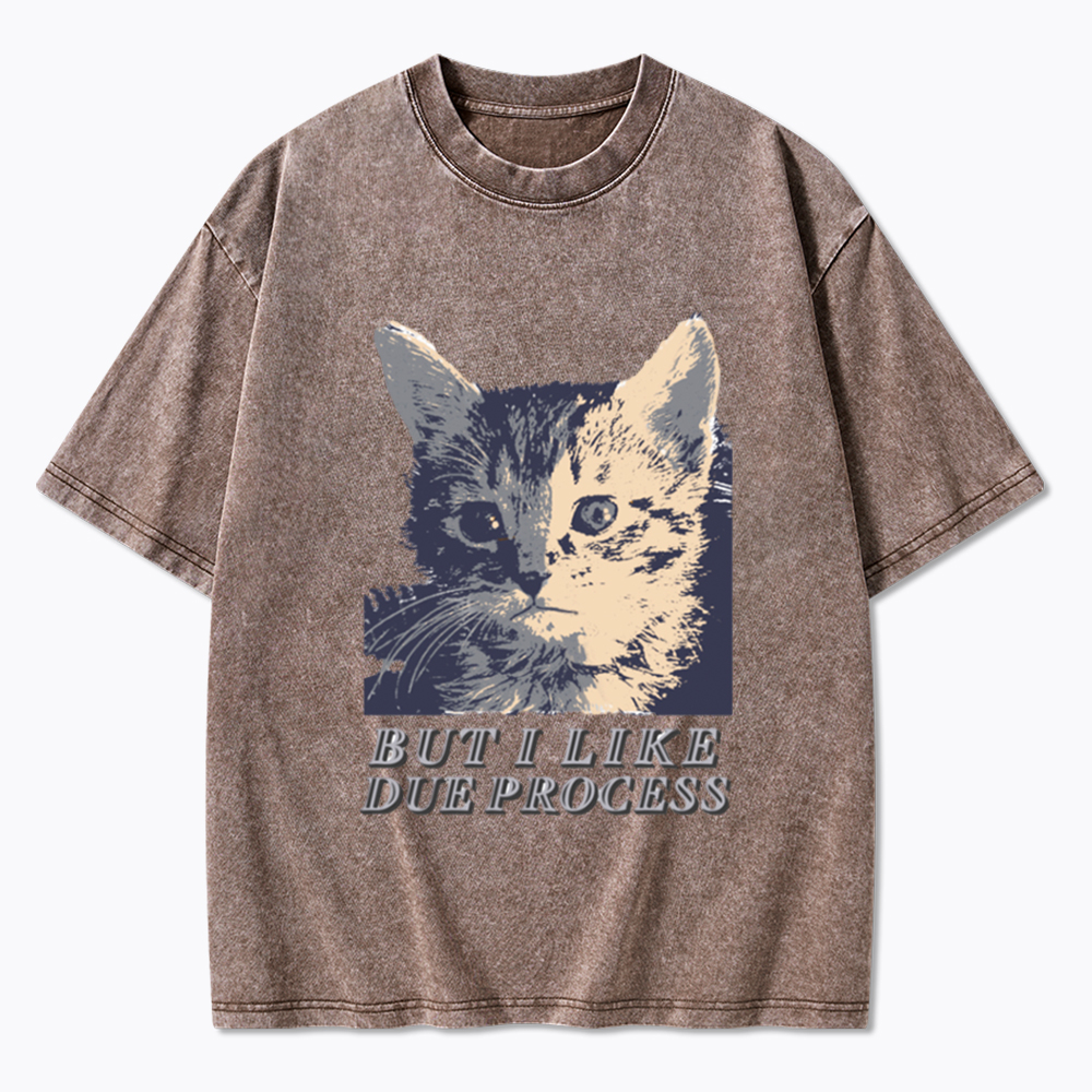 But I Like Due Process cat Washed T-Shirt