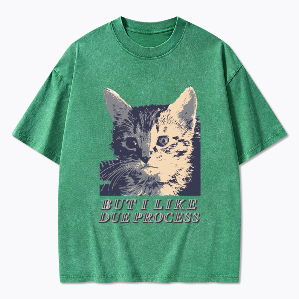 But I Like Due Process cat Washed T-Shirt