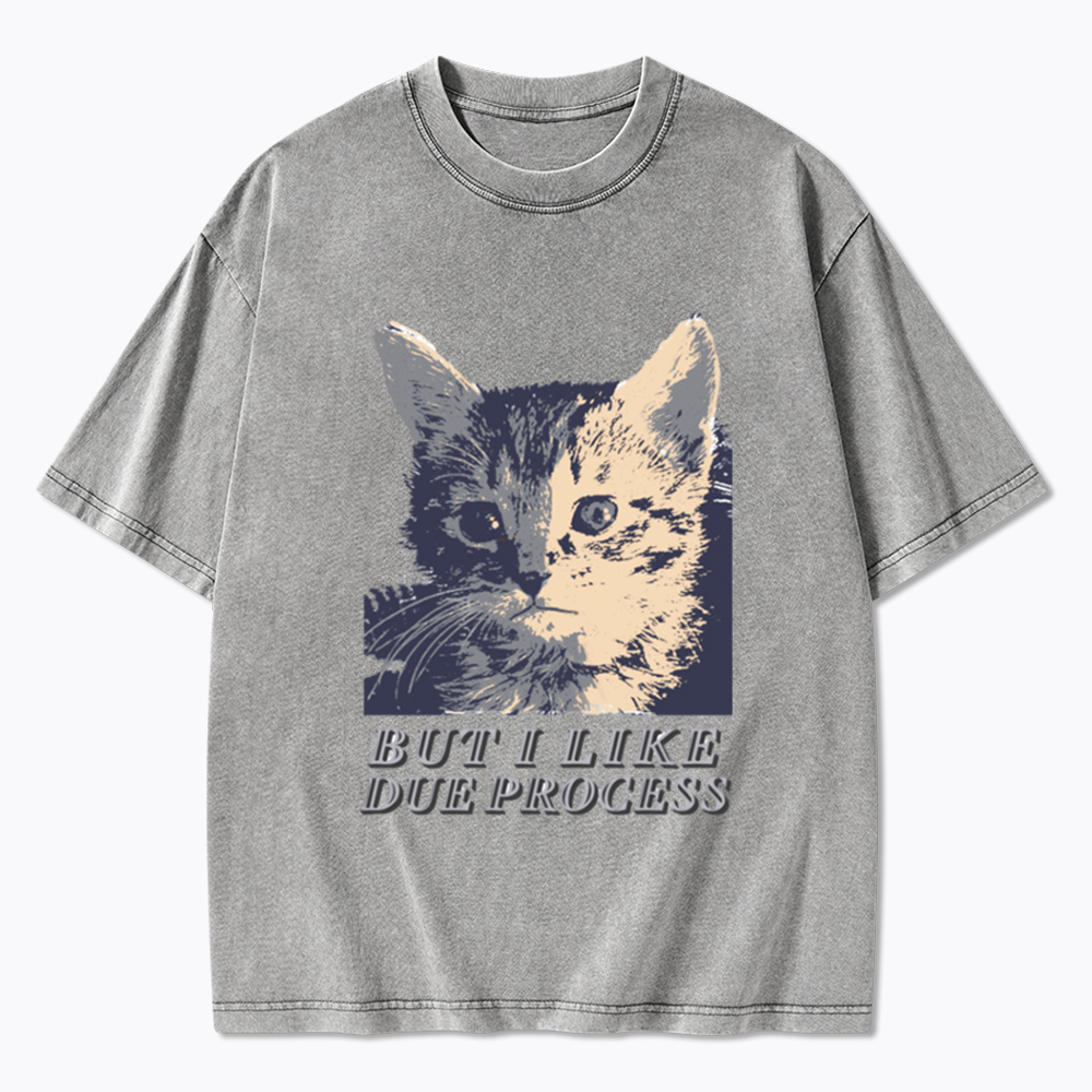 But I Like Due Process cat Washed T-Shirt