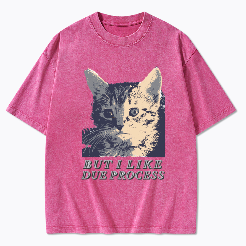 But I Like Due Process cat Washed T-Shirt
