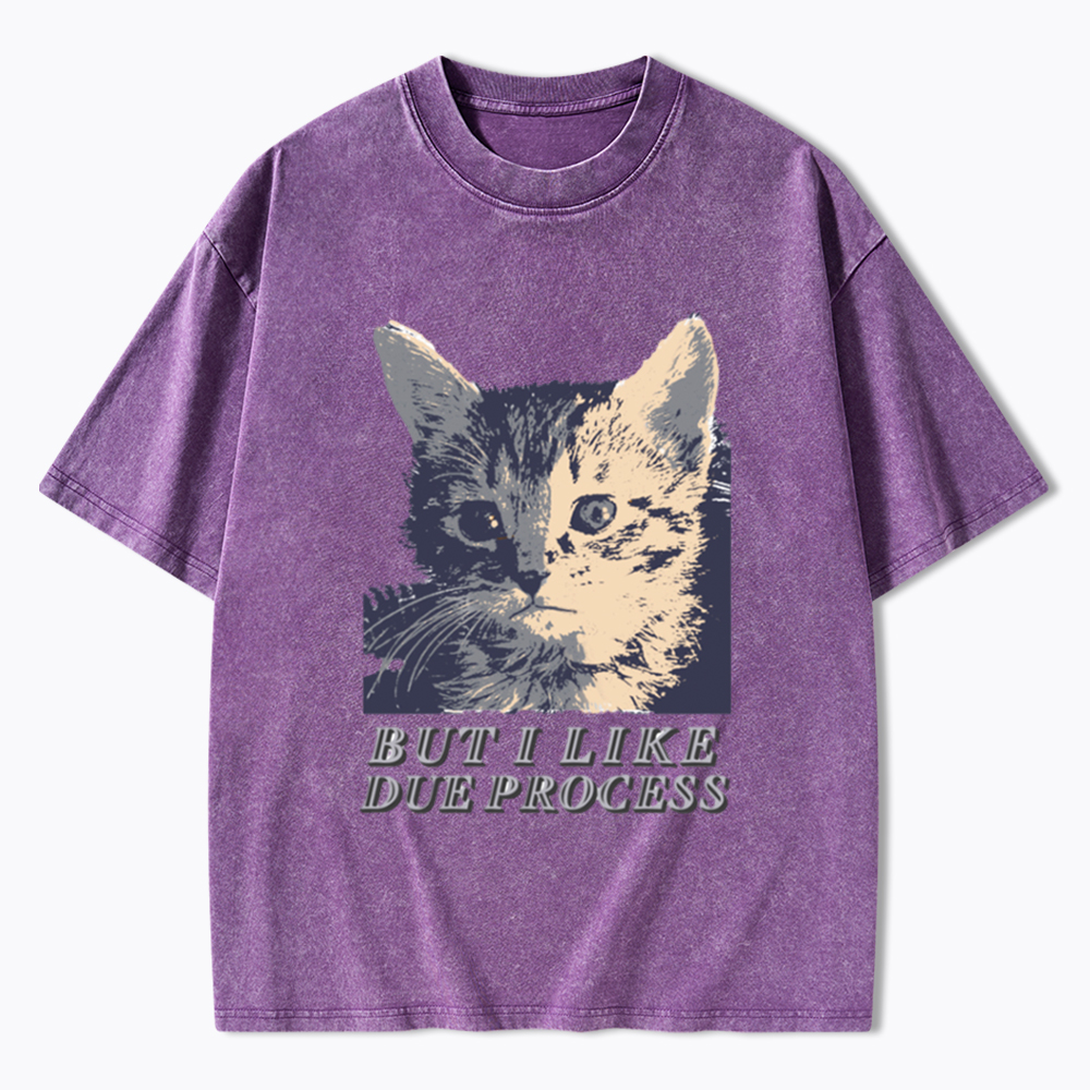 But I Like Due Process cat Washed T-Shirt