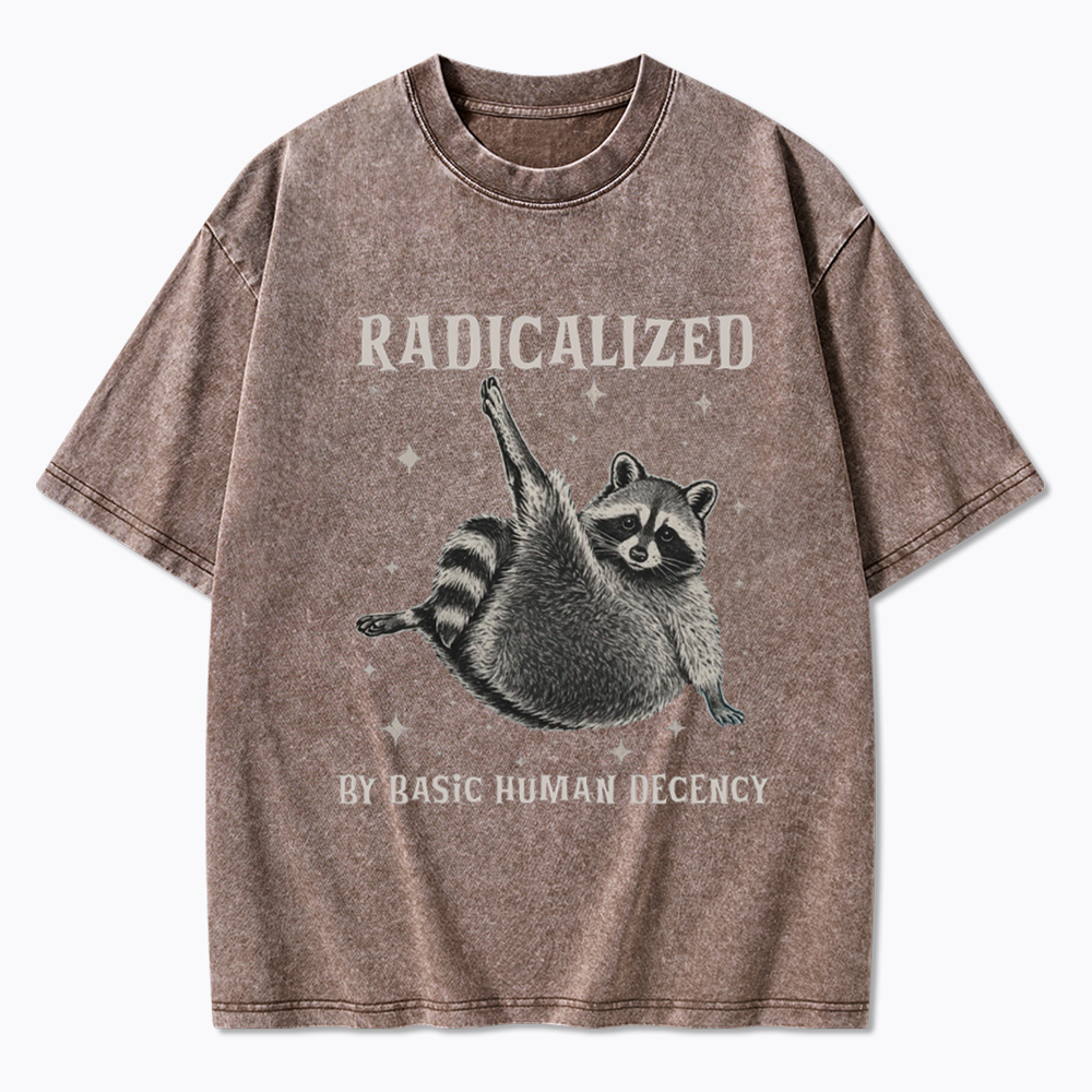 Radicalized By Basic Human Decency Washed T-Shirt