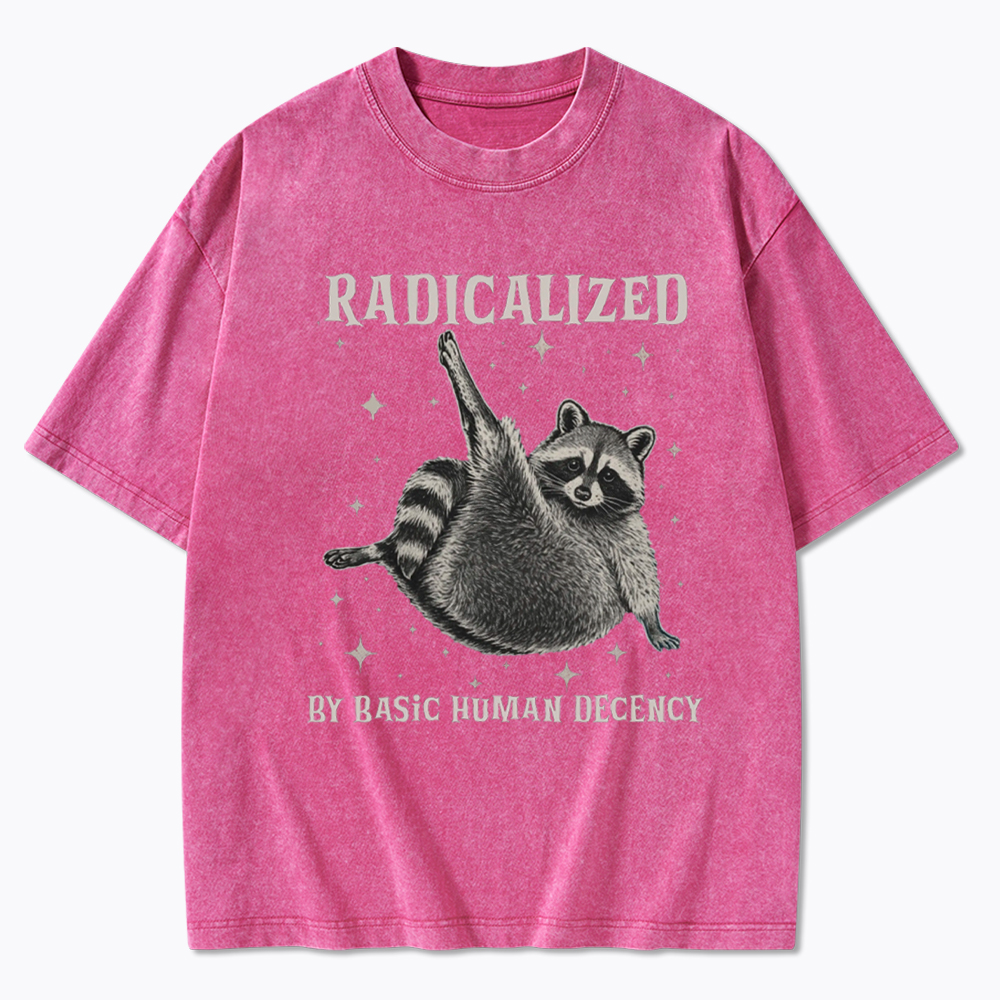 Radicalized By Basic Human Decency Washed T-Shirt