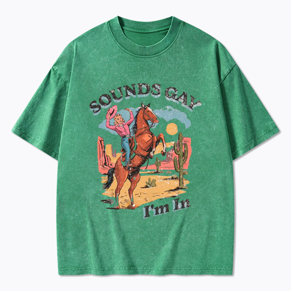 SOUNDS GAY Im In Washed T-Shirt