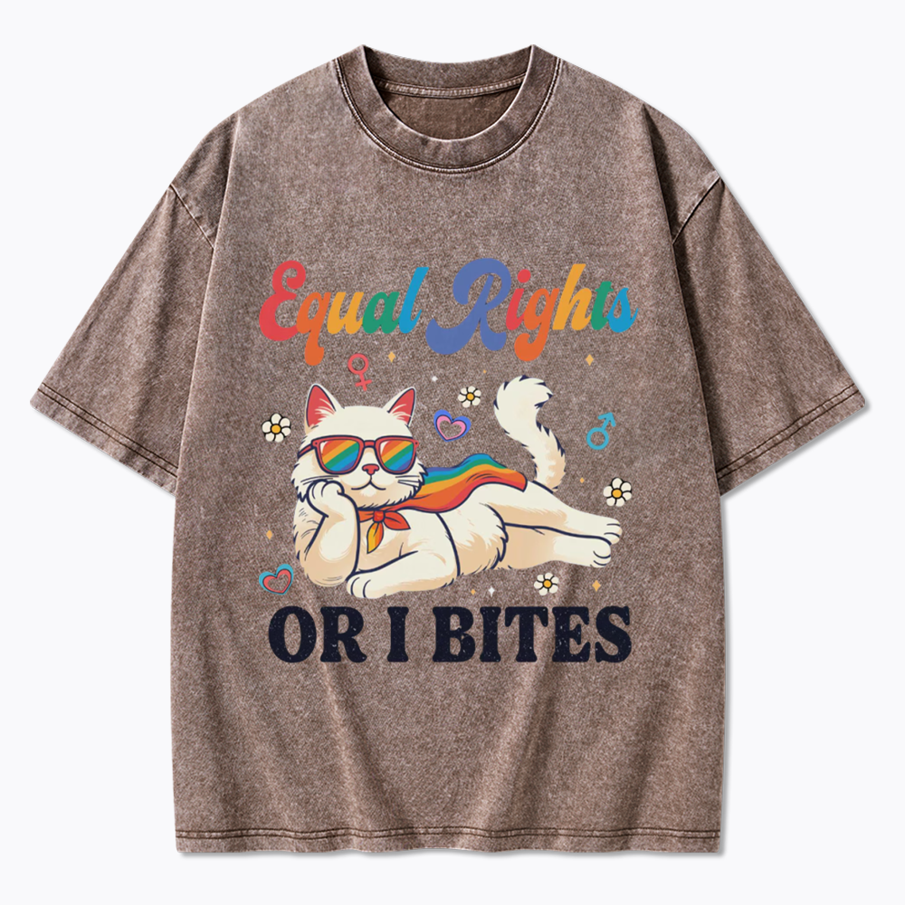 Equal Rights Or I Bites Cat Washed T-Shirt