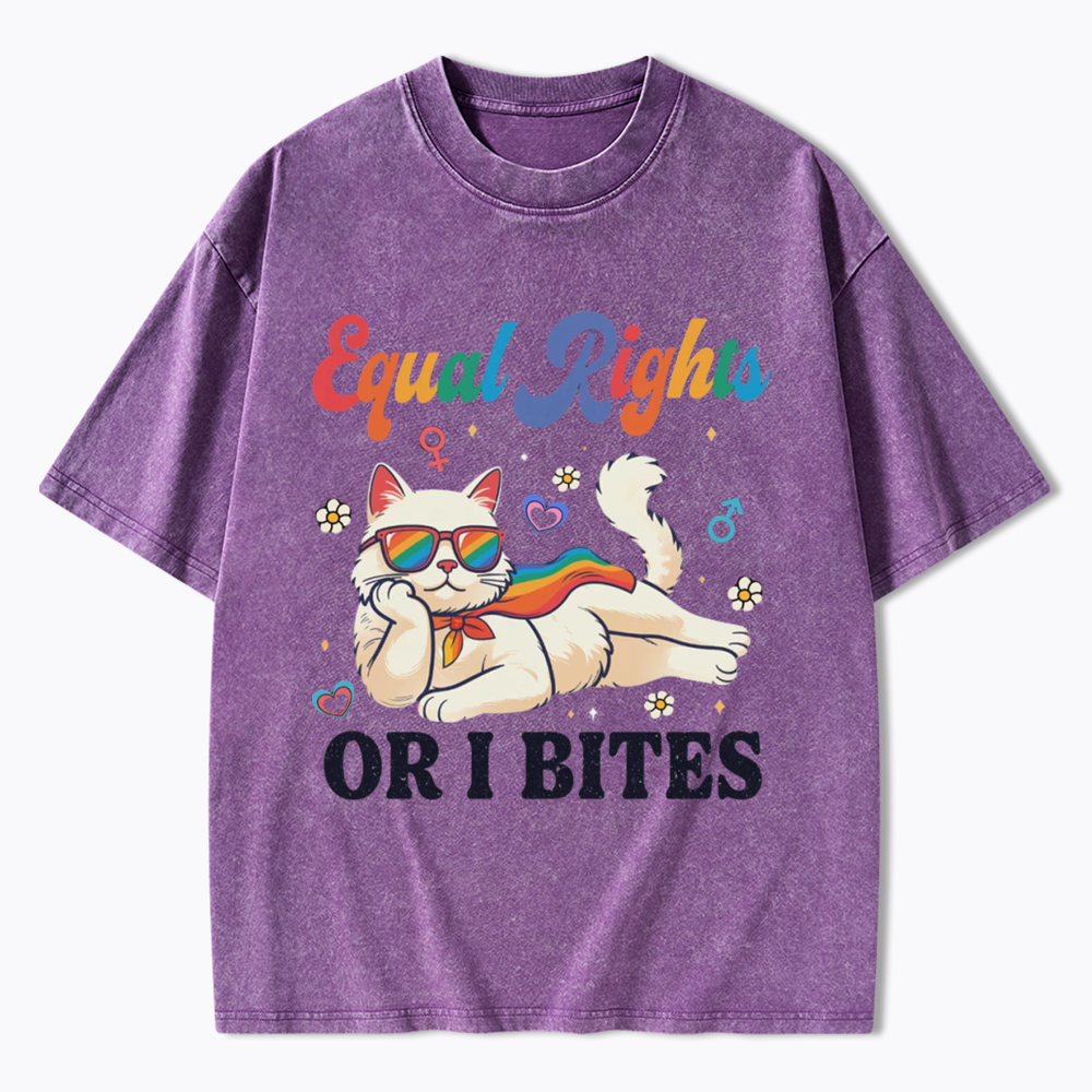 Equal Rights Or I Bites Cat Washed T-Shirt