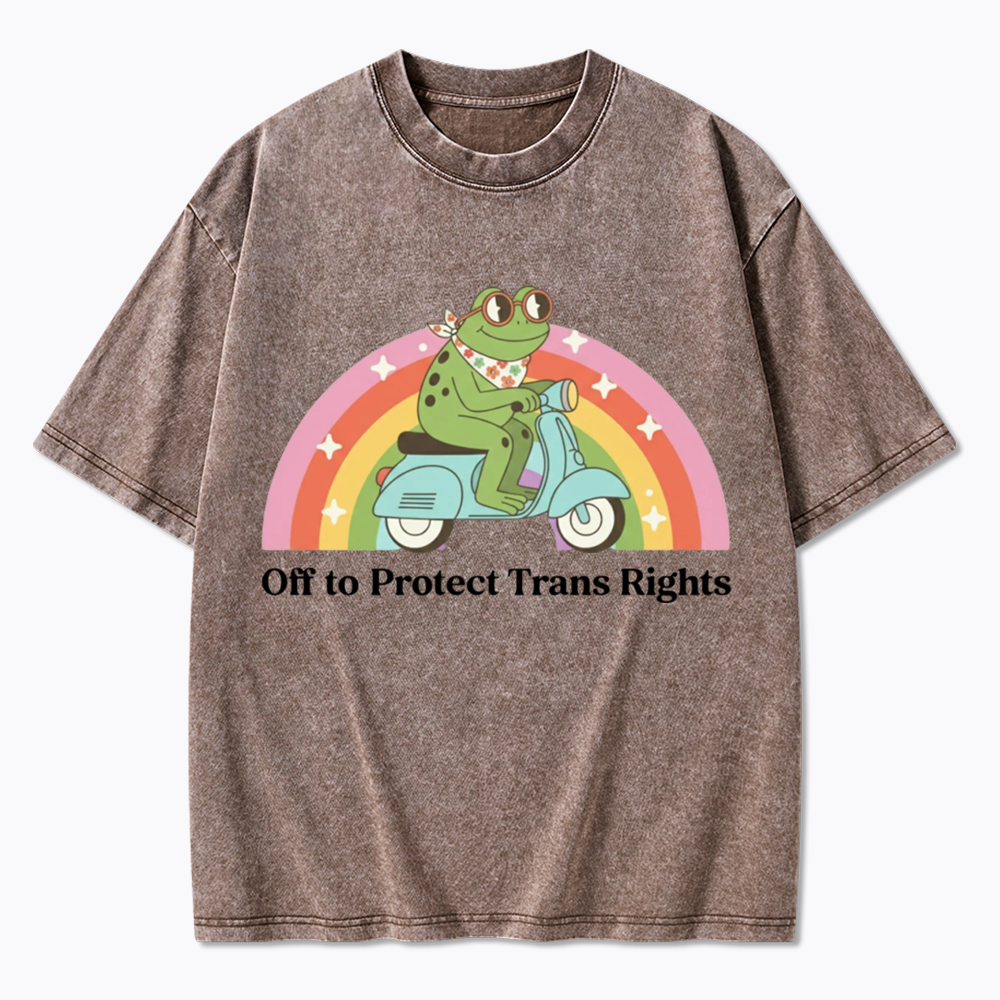 Protect Trans Rights Washed T-Shirt