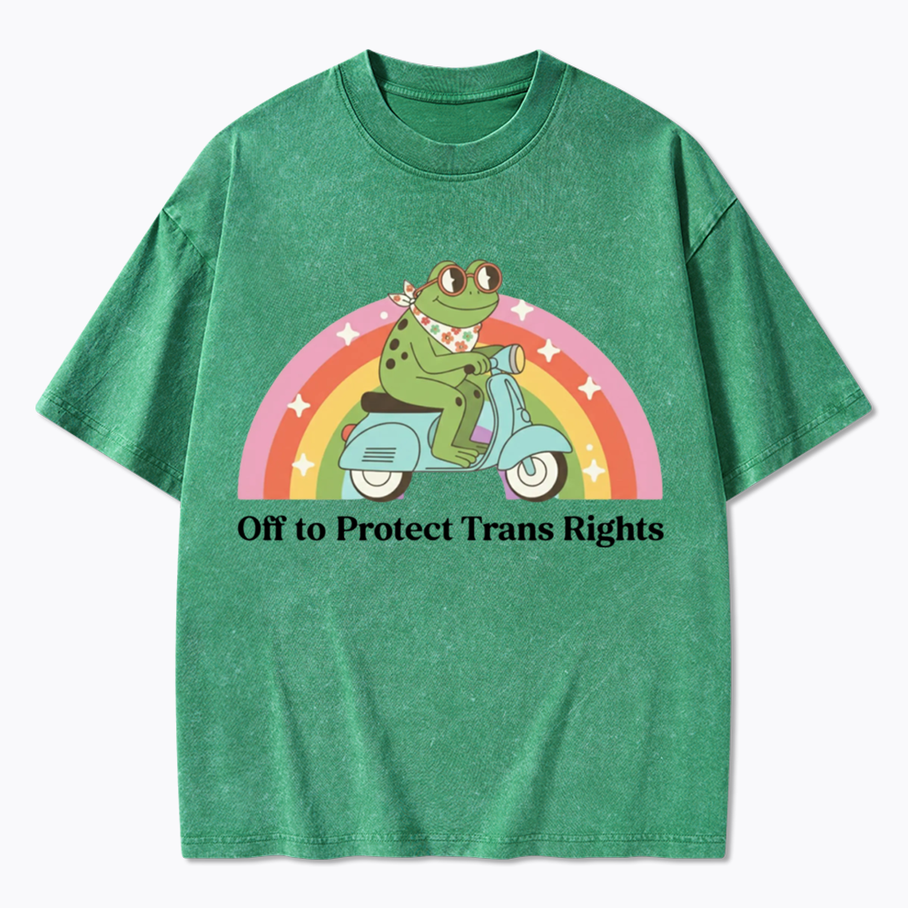 Protect Trans Rights Washed T-Shirt