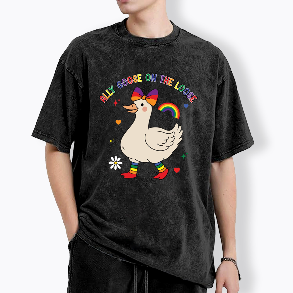 Ally Goose On The Loose Washed T-Shirt