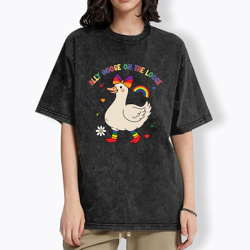 Ally Goose On The Loose Washed T-Shirt