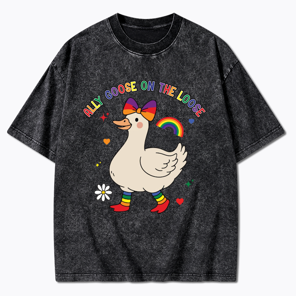 Ally Goose On The Loose Washed T-Shirt