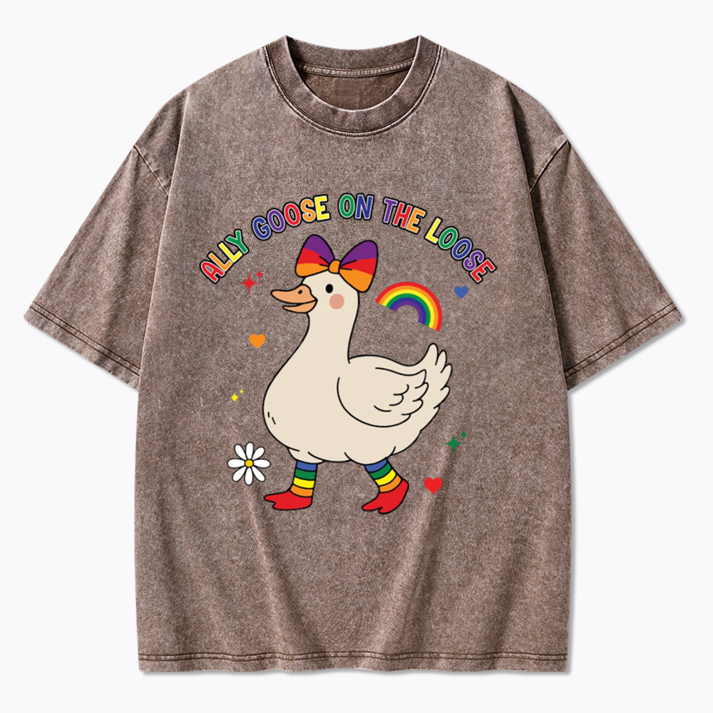 Ally Goose On The Loose Washed T-Shirt