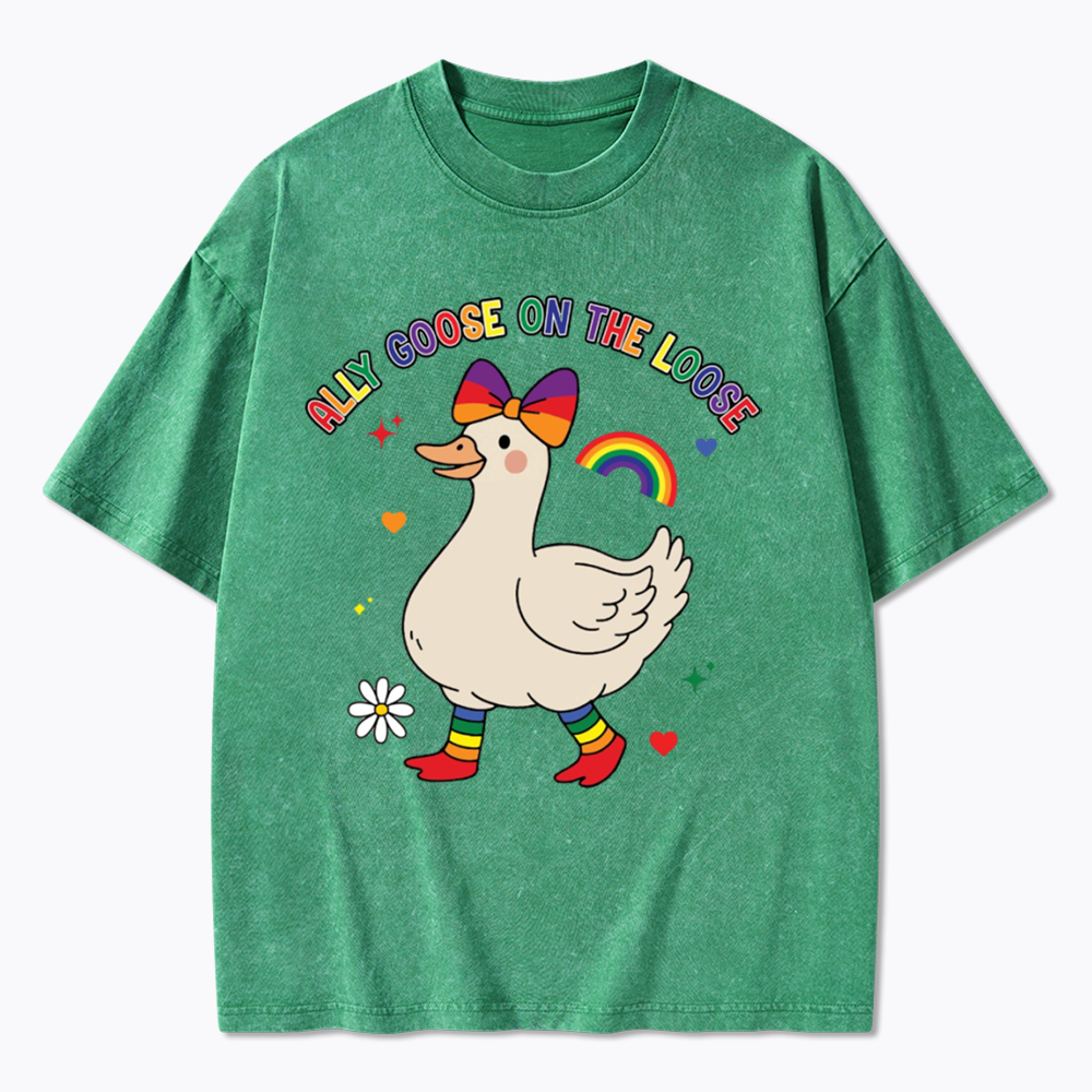 Ally Goose On The Loose Washed T-Shirt