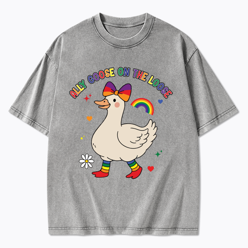 Ally Goose On The Loose Washed T-Shirt