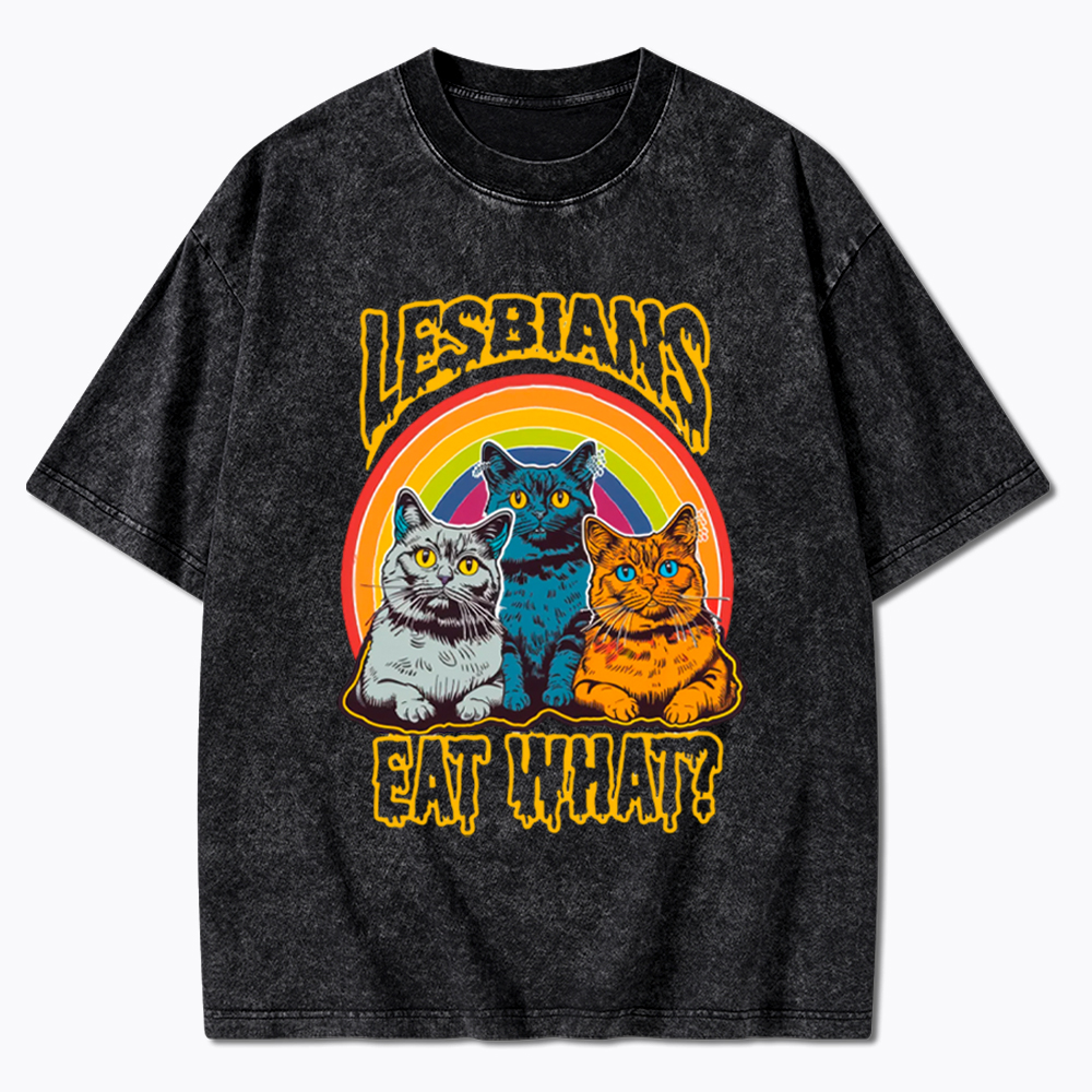 Funny Lesbians Eat What Washed T-Shirt