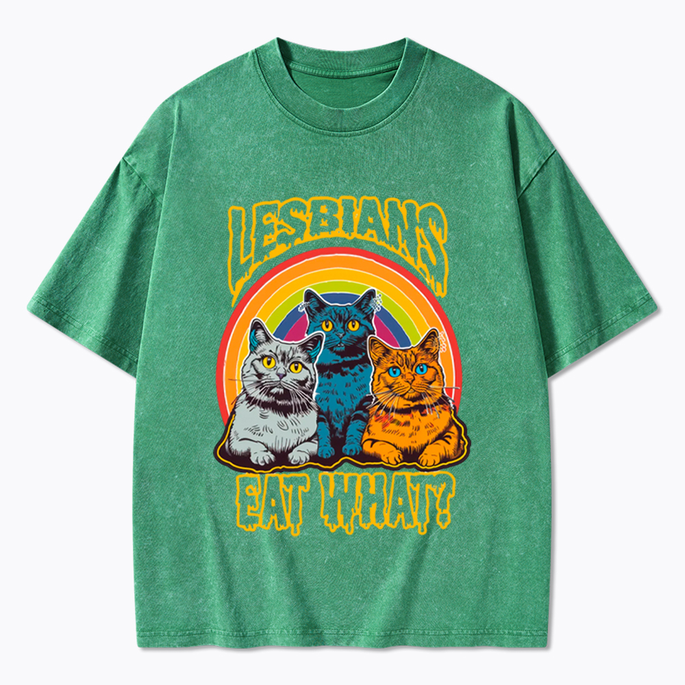 Funny Lesbians Eat What Washed T-Shirt