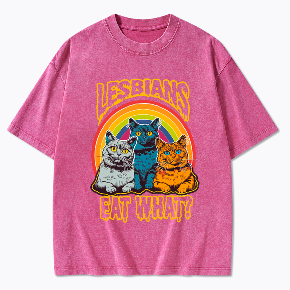 Funny Lesbians Eat What Washed T-Shirt