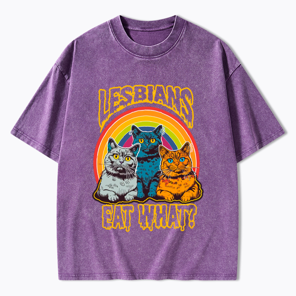 Funny Lesbians Eat What Washed T-Shirt